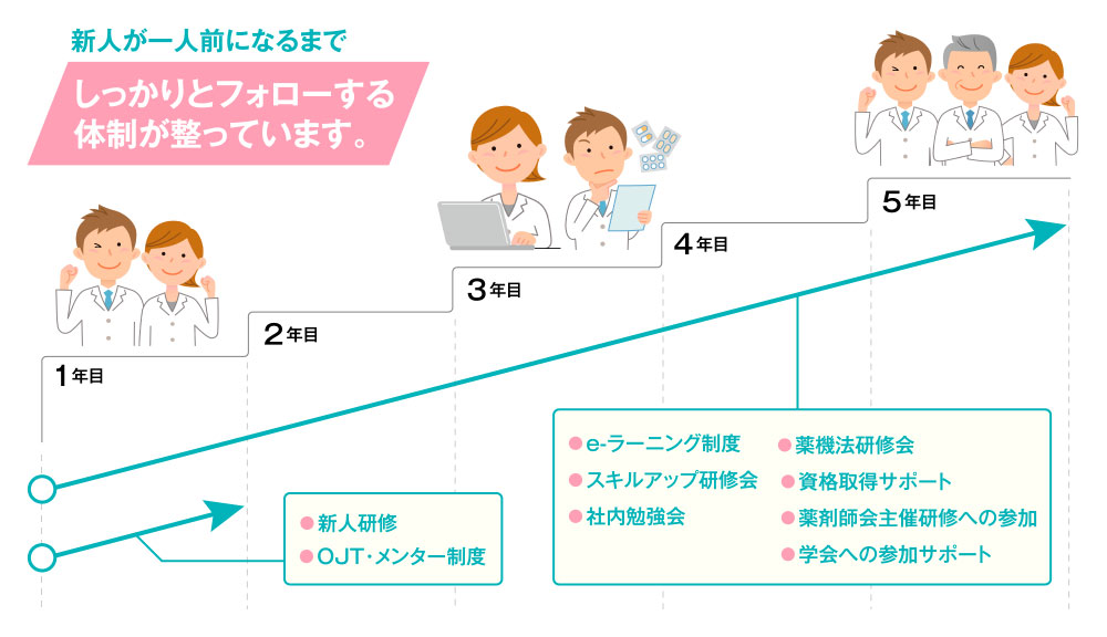 研修制度・サポート体制の説明図　新人が一人前になるまでしっかりとフォローする体制が整っています